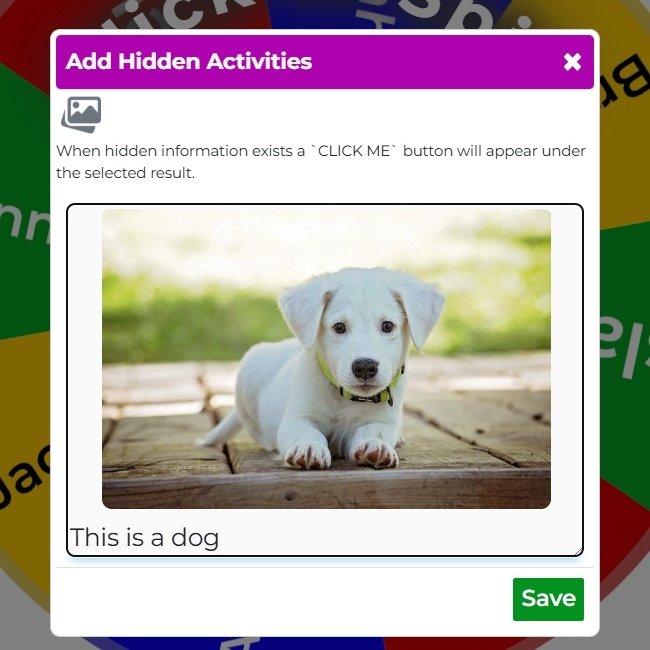This is an image showing a populated hidden activity for a wheel entry