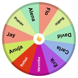 IPA Full team Facilitator Wheel