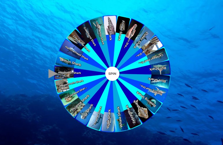 Shark Picker Wheel