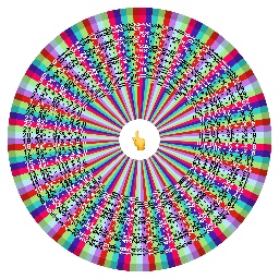 WONDERLAND SPIN