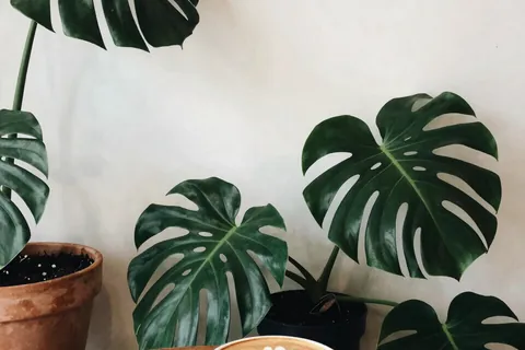 AI generated coffee shop scenes example