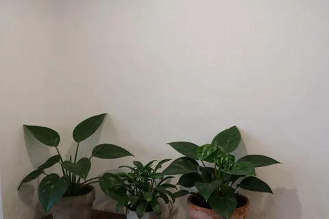 AI generated coffee shop scenes example