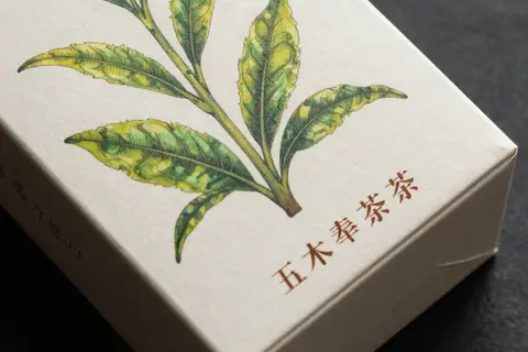 AI generated packaging ideas example