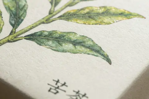 AI generated packaging ideas example